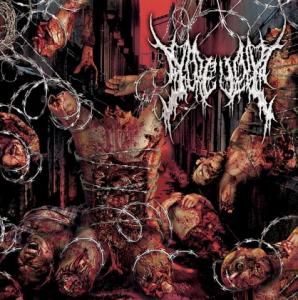 Abnormal Exaggeration cover art